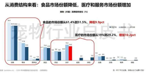 与年轻铲屎官“玩”在一起，铂钻猫砂的趣味化营销品效双赢