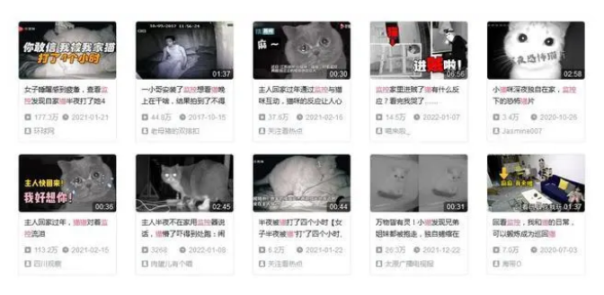 独居神器，养猫必备？家用监控能带来安全感吗？