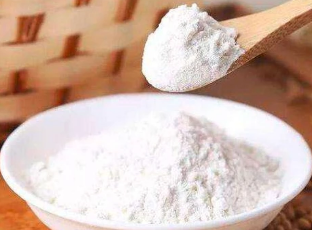 猫咪呕吐喂益生菌行吗