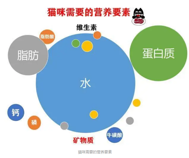 猫咪营养膏,看起来好神奇,真的有必要买吗? 猫咪营养膏,看起来好神奇,真的有必要买吗?