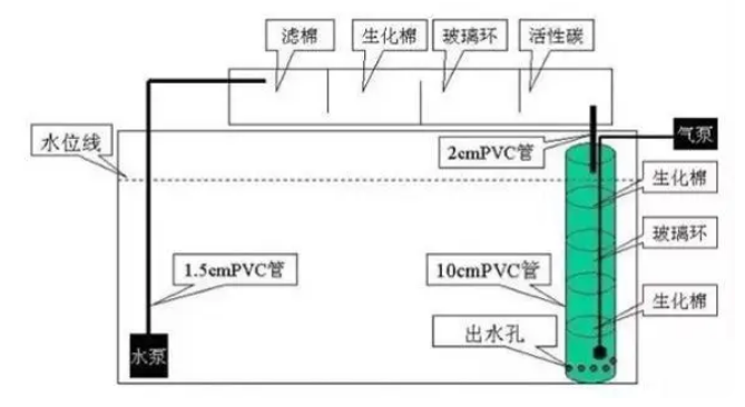 怎么用过滤出水口增氧？做一个反气举就解决！