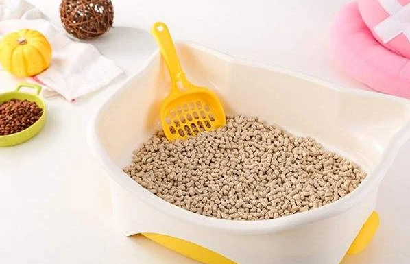 猫物｜猫砂用完了怎么办？铲屎官脑洞大开的自制猫砂，看看你家用过几个