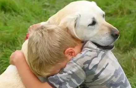 狗知道主人不是同类吗？来了解一下吧