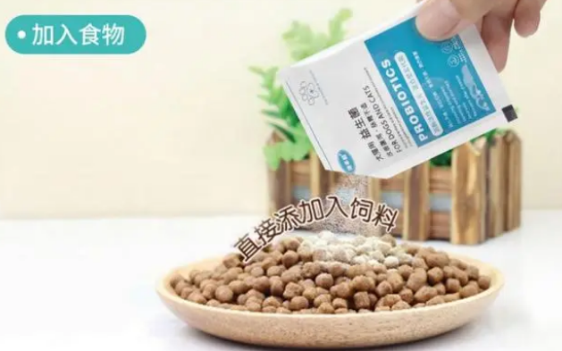 犬猫在什么情况吃益生菌呢？4大方面详解益生菌！