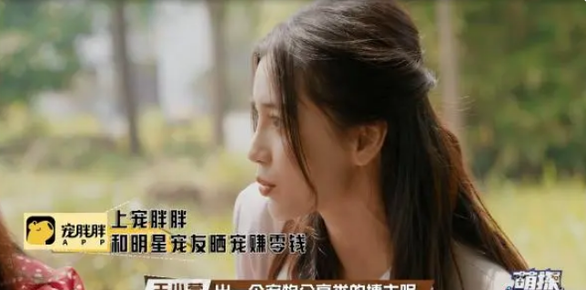 达成共识！宠胖胖与《萌探》2一起传递治愈与欢乐！