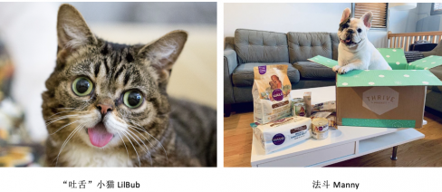 Halo自然光环5周年｜心系每一个生命