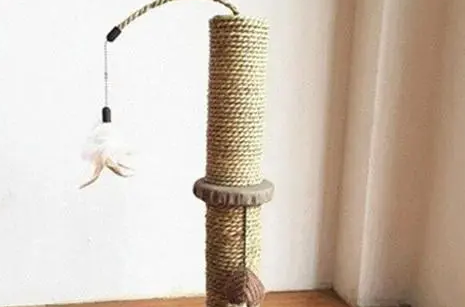 为什么猫主子宁愿挠沙发，也不用你给买的猫抓板？