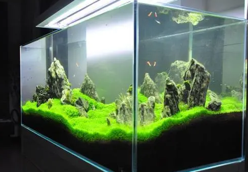 鱼缸水质变差，如果才能改善水质，让它变成空气缸