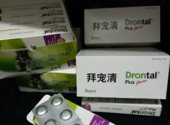 拜宠清or福来恩？狗狗用效果如何？