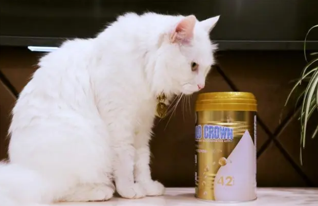 盖夫金冠羊奶粉，让犬宝宝喝上妈妈的奶