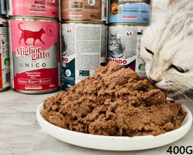 茉兰朵猫罐头怎么样？看完你就知道了