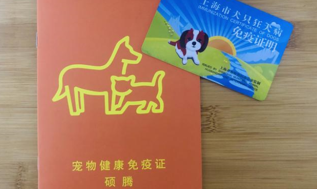 超强攻略－－乘飞机办理宠物托运，拢共分几步？