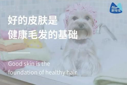 关注宠物健康 从关注舒宠佳开始 关注宠物健康 从关注舒宠佳开始