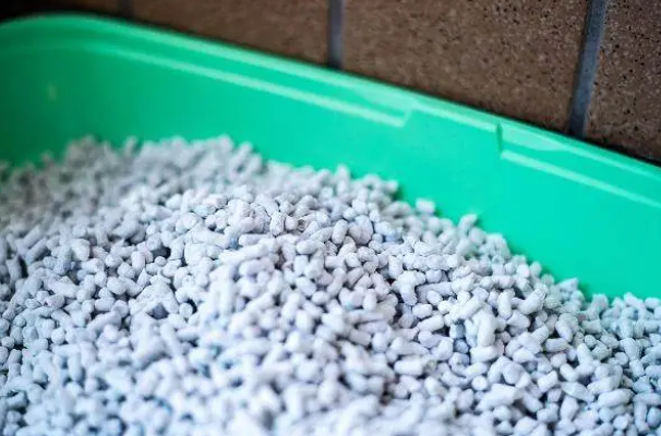 猫砂特点大揭秘，挑选猫砂有方法