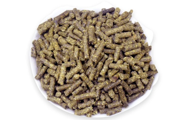 兔粮可以放多久 关于喂食兔粮的注意事项