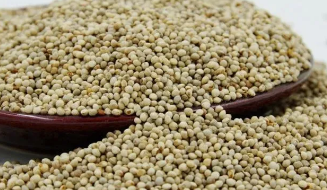 养鸟必知！各种鸟粮的特点以及观赏鸟的喜好