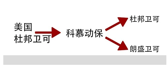 朗盛卫可和杜邦卫可哪个好