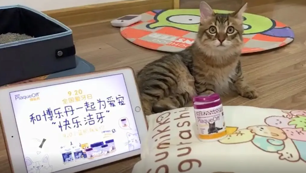 全国第31个爱牙日，和Proden博乐丹小蓝瓶一起“快乐洁牙”