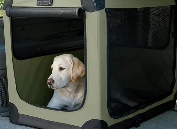 给狗买笼子要弄清楚的问题，你也不想买错吧！