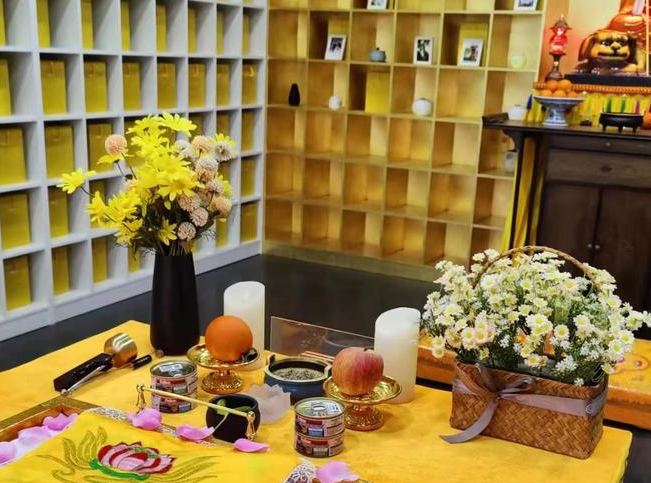 宠物去世可以做火化么？