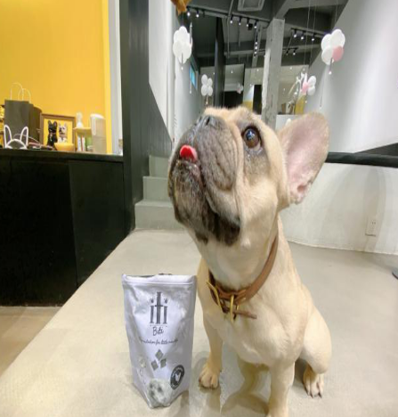 2020年亚宠展千万不要错过iti爱娣