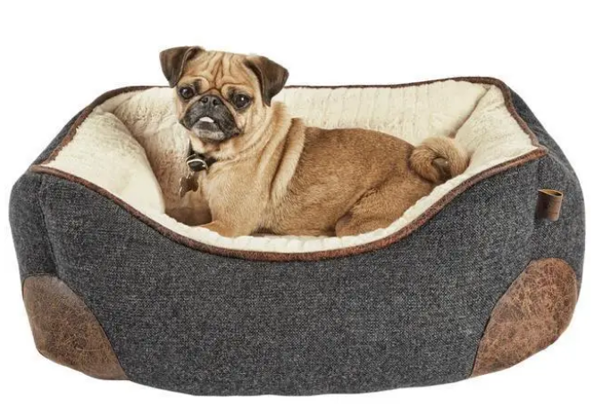 选对狗窝，狗狗才能更好地休息和放松