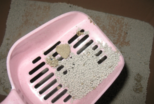 带你解密，猫砂是什么时候发明的？