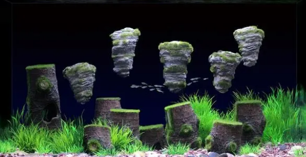 让鱼缸水保持清澈需要哪些水族耗材？