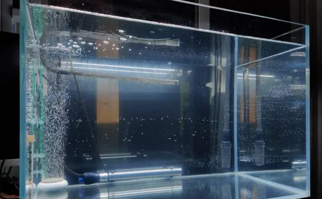 怎么保证鱼缸里的溶氧量？用增氧泵，详解关于增氧泵的那些事