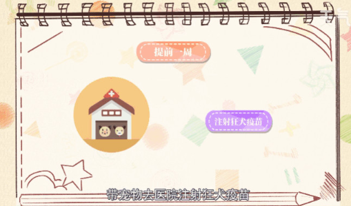 宠物怎么托运 宠物托运的步骤