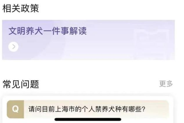 上海“宠物码”上线试行,可查看犬只免疫和办证情况 上海“宠物码”上线试行,可查看犬只免疫和办证情况