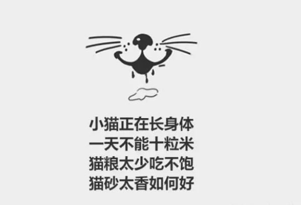 分分钟了解宠物知识——为什么猫会吃猫砂