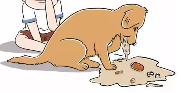 狗狗吐了一滩白色泡沫，是什么原因引起的？