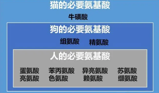 猫咪营养膏,看起来好神奇,真的有必要买吗? 猫咪营养膏,看起来好神奇,真的有必要买吗?