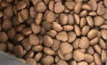 猫粮分享丨异军突起之捷嘉鲜猫粮