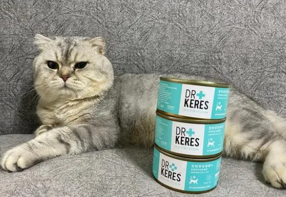 猫罐头怎么选？这几点教你避免入坑！