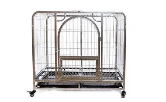 养宠知识：巨贵犬耳螨用什么药，巨贵犬耳螨如何治