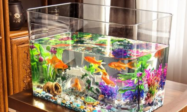 深水鱼缸适合养什么龟，新手快来看