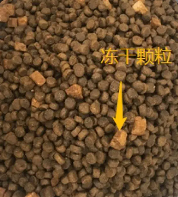 回购了最多次的猫粮，纽翠斯真的是天选猫粮