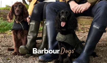 给宠物买衣服，你舍得花多少钱？