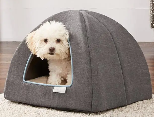 狗窝种类这么多，主人怎么选？