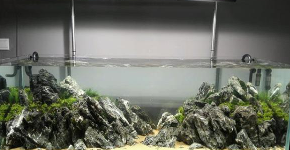 鱼缸水质变差，如果才能改善水质，让它变成空气缸