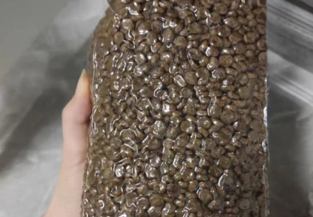 想知道nulo怎么样,这篇评测为你解答 想知道nulo怎么样,这篇评测为你解答