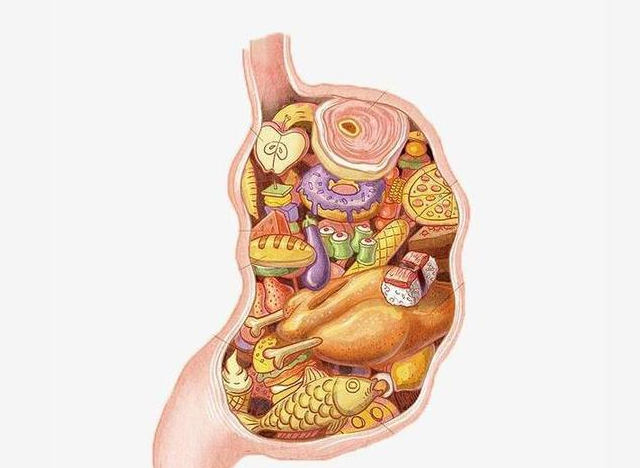 狗狗在什么情况吃益生菌呢?4大方面详解益生菌! 狗狗在什么情况吃益生菌呢?4大方面详解益生菌!