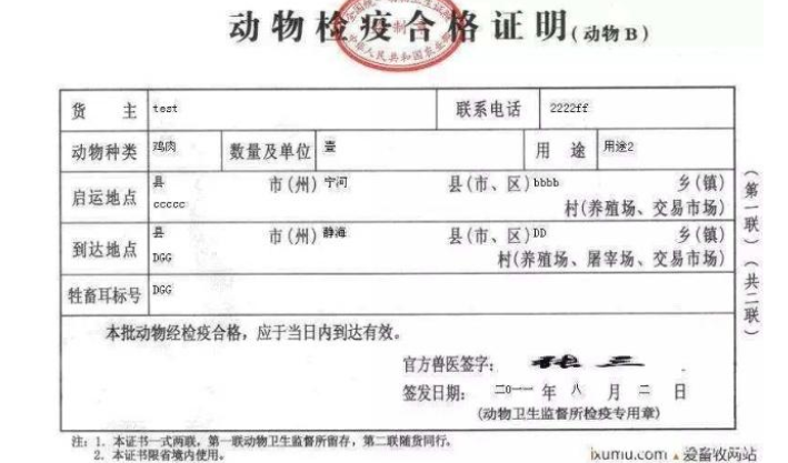 飞机上可以带宠物吗？宠物可以托运吗