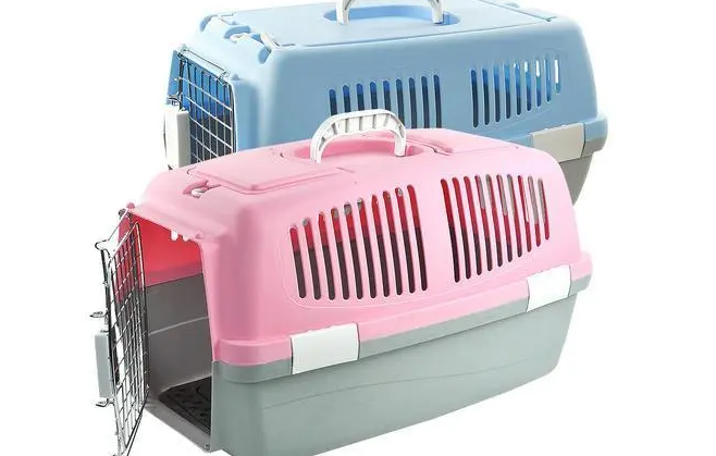 在家买什么狗笼子？训犬师其实更推荐选择航空箱