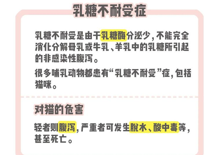 猫咪喝羊奶粉就腹泻?真正元凶竟是... 猫咪喝羊奶粉就腹泻?真正元凶竟是...
