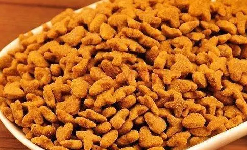 别把换猫粮不当回事,如操作不当猫咪轻则食欲不振,重则致命! 别把换猫粮不当回事,如操作不当猫咪轻则食欲不振,重则致命!