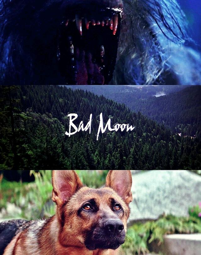 鬼哭神嚎(1996)的剧照 鬼哭神嚎(1996)的剧照