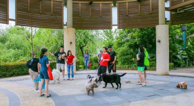 盖夫×爱宠游，携宠泛舟九龙湖！